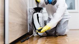 Best Pest Control for Multi-Family Homes  in Solvay, NY